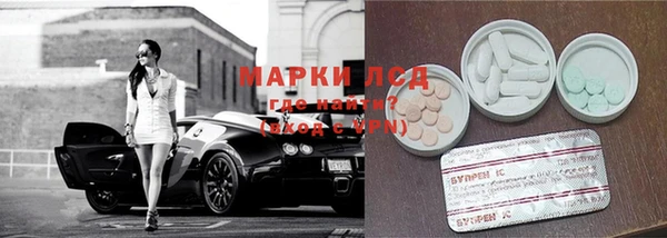 ПСИЛОЦИБИНОВЫЕ ГРИБЫ Медногорск