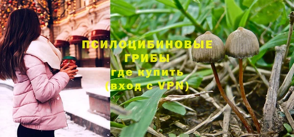 гашик Михайлов