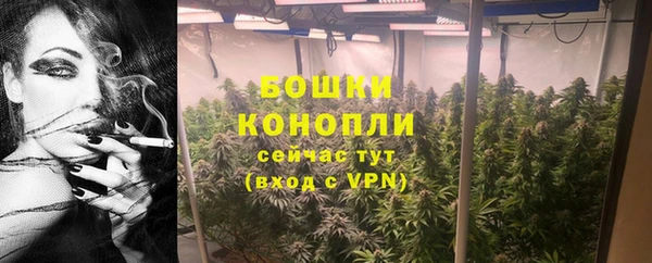 гашик Михайлов