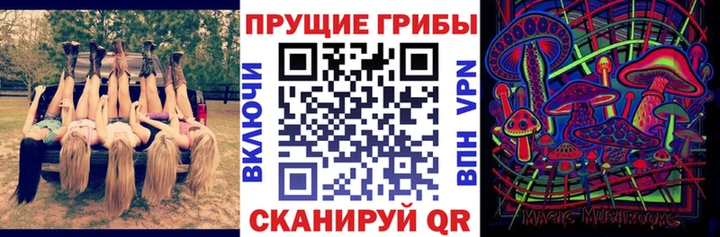 Купить  Краснослободск  Псилоцибиновые грибы мухоморы 